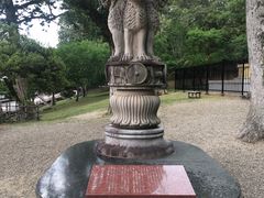 -奈良公园