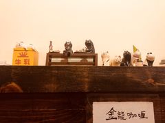 -金龙咖喱