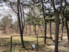 -元大都城垣遗址公园