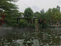 包房-一品烧农庄·佛山本地菜(西岸店)