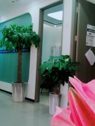 -联合丽格·张菡丽格医疗美容