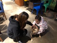 -Cactus墨西哥仙人掌餐厅