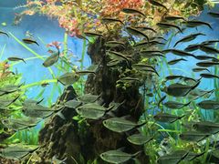 -太平洋海底世界