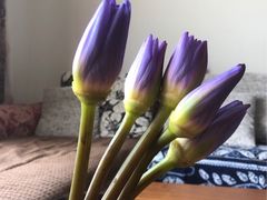 -北大万柳公寓三区食堂