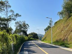 -黄埔油麻山森林公园