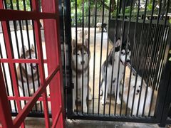 -TrueLove @ Neverland (Husky Cafe)