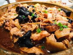 -大榕树下顺德菜(融创茂店)