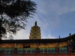 -白塔山公园