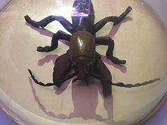 -陕西自然博物馆