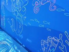 -海合安天津极地海洋公园