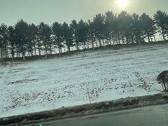 -棋盘山冰雪大世界