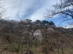 -慕田峪长城