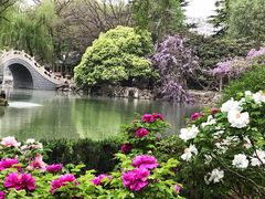 -西苑公园
