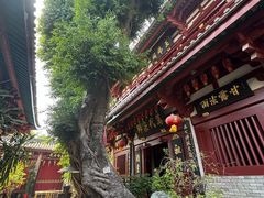 -叩齿古寺