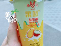 扬大酸奶-扬大康源乳业鲜奶吧(大学北路店)