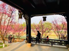 -望江楼公园