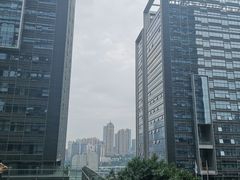 -重庆市江北嘴中央商务区中央公园
