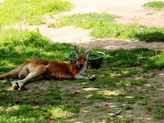 iphone_upload_pic-西安秦岭野生动物园