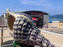 -亚龙湾海底世界