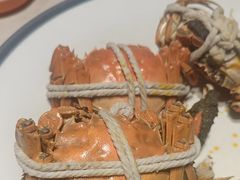 -杨氏青龙虾·羊蝎子(金盛路总店)