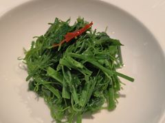 -觀芷隐轩