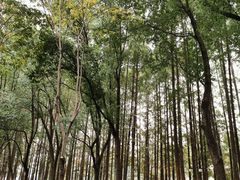 -范蠡湖公园