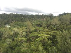 -胡里山炮台