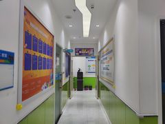 -童程童美·信息学竞赛·乐高机器人编程(龙华校区)