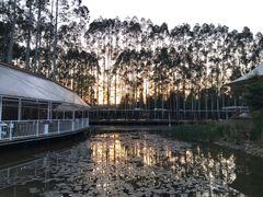 -三圣花乡旅游区