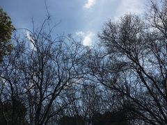 -宁波儿童公园(鄞州区)