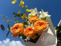 -弗劳尔花艺坊(龙涛店)