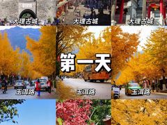 -喜洲翰林餐厅(董家百年老宅店)