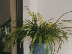 -荷风细雨·中国茶宴(碧云店)