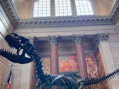 -美国自然历史博物馆