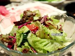 蔬菜色拉-西贝(金桥店)