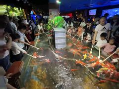 -太平洋海底世界