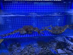 -方记海鲜大排档(乐山形象店)