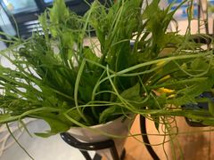 -东椰·海南椰子鸡火锅(朝阳门店)