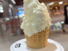 -野人先生现做冰淇淋(北京环宇荟店)