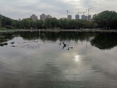 -太阳宫公园