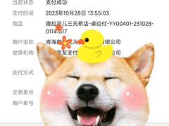 -撒拉花儿·新疆菜·清真(太阳宫店)