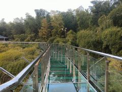 -陶祖圣境风景区