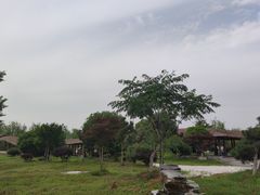 -金卉庄园