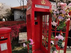 -高东镇樱花园