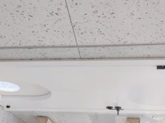 -喵园·猫主题咖啡厅·撸猫·猫咖(国贸店)