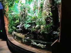 -太平洋海底世界