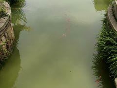 -龙潭水乡