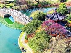 -八大山人梅湖景区