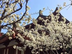 -西安华清御汤酒店