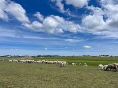 -塞罕坝国家级自然保护区